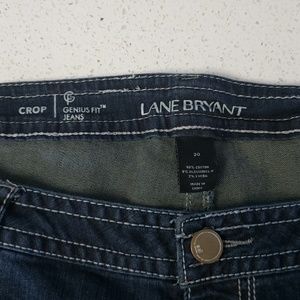 Lane Bryant Jeans